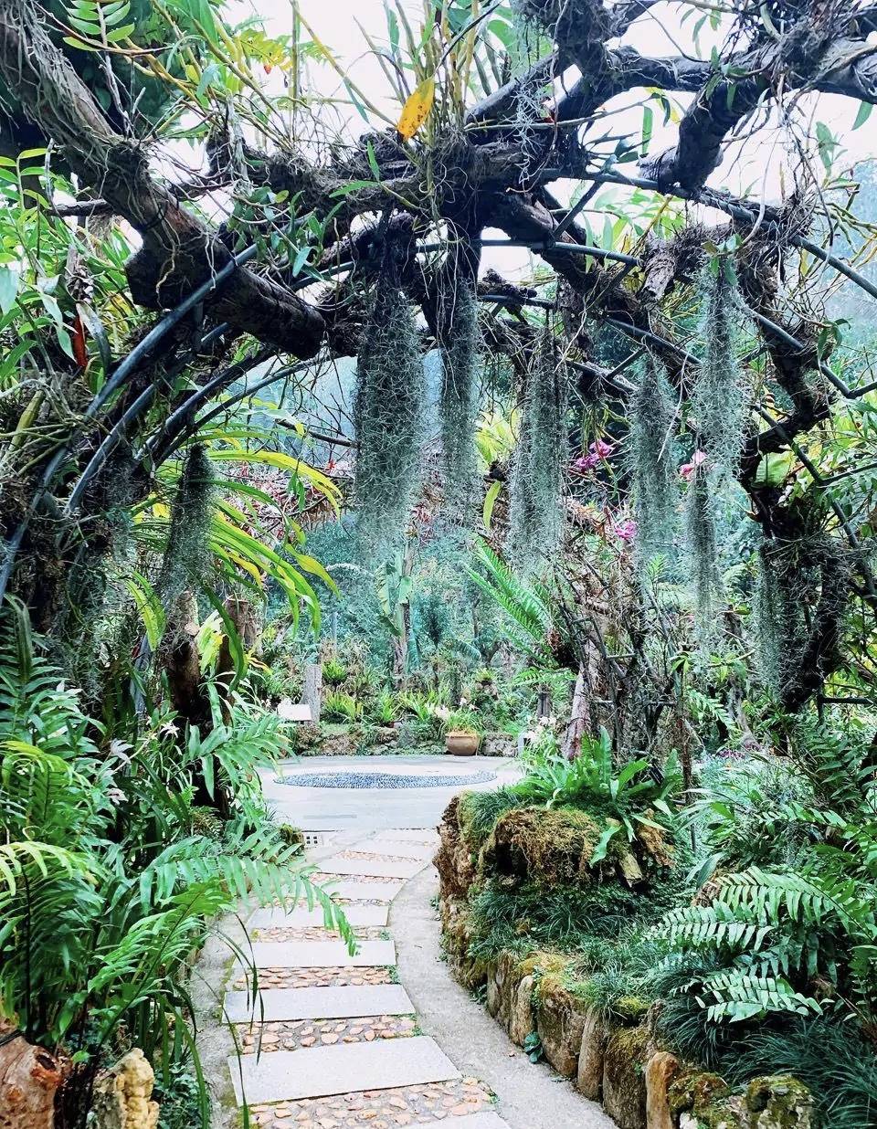 深圳仙湖植物園門票價(jià)格及購買指南，深圳仙湖植物園門票價(jià)格與購買攻略