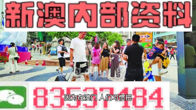 2025新澳正版資料精準(zhǔn)解析，2025新澳正版資料精準(zhǔn)解析手冊(cè)