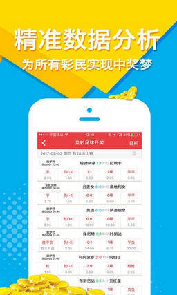 王中王公開肖主一碼，深度解析與SEO優(yōu)化策略，王中王公開肖主一碼解析與SEO優(yōu)化策略深度探討