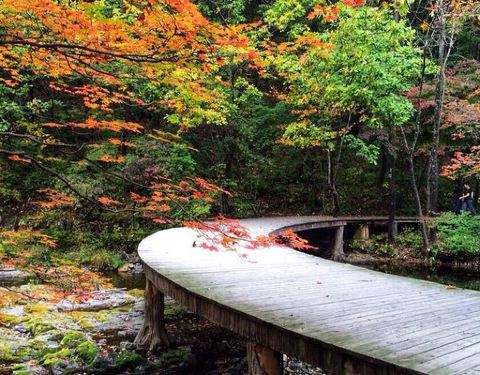 本溪關(guān)門山門票價格詳解，本溪關(guān)門山門票價格全面解析