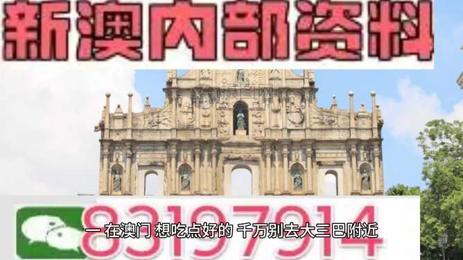 新澳新澳門(mén)正版資料，探索與解析，新澳新澳門(mén)正版資料深度解析與探索