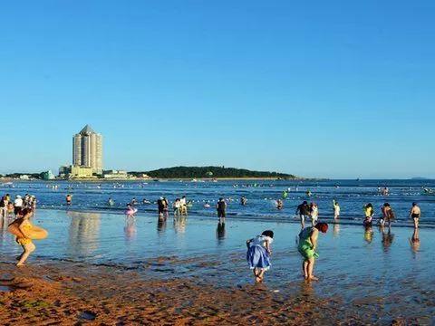 青島旅游自由行，探索魅力海濱城市的最佳體驗(yàn)，青島自由行探索，海濱城市的魅力之旅