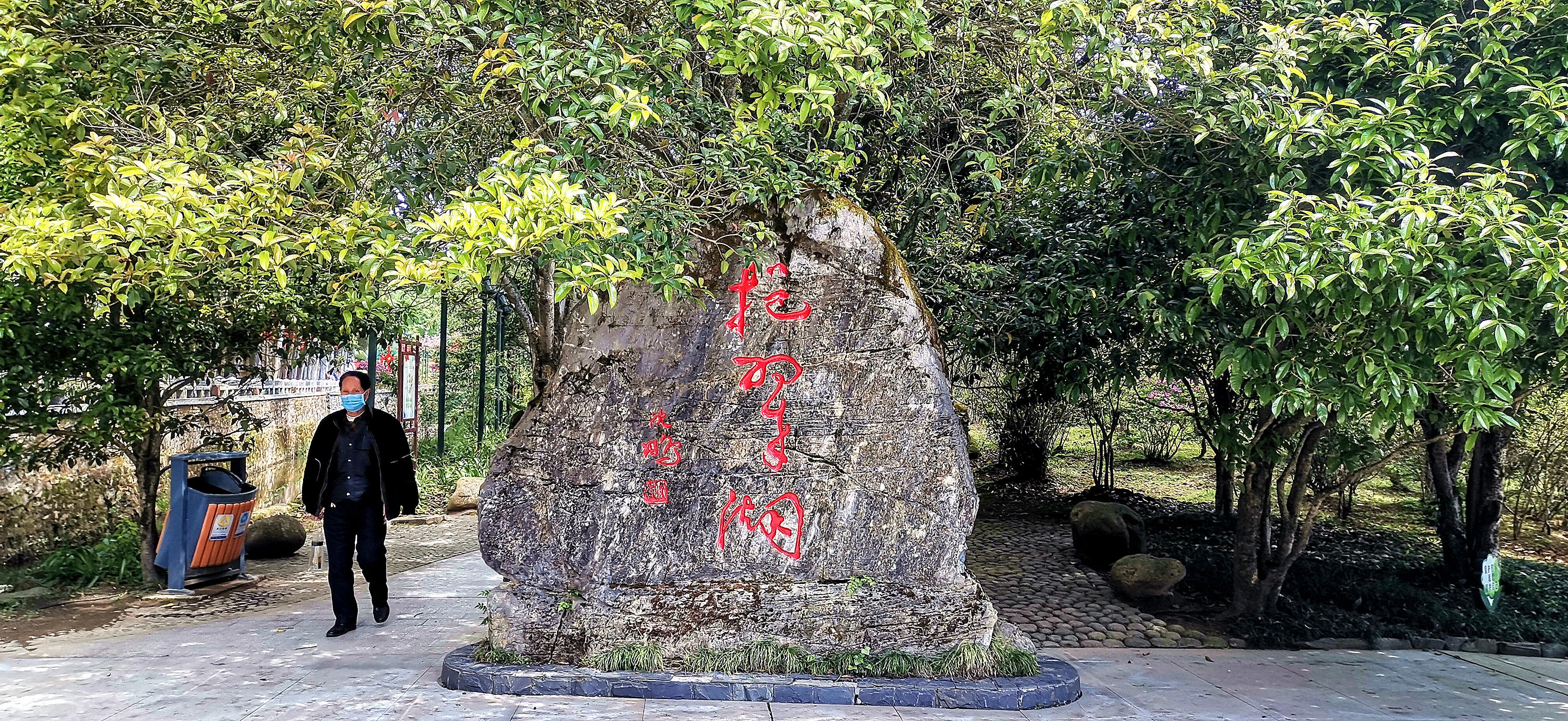 井岡山必去景點(diǎn)——探索紅色旅游勝地的不朽魅力，井岡山必游景點(diǎn)揭秘，紅色旅游勝地的歷史魅力