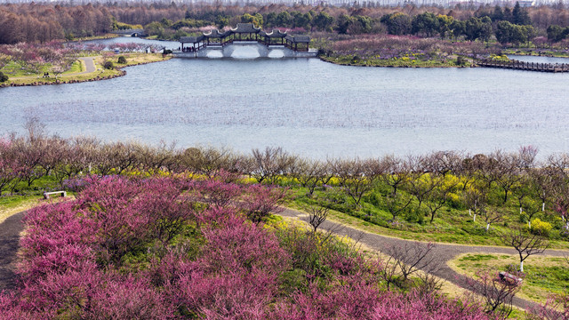 探索上海海灣國家森林公園 - 官網(wǎng)指南，上海海灣國家森林公園官網(wǎng)指南，深度探索公園之美