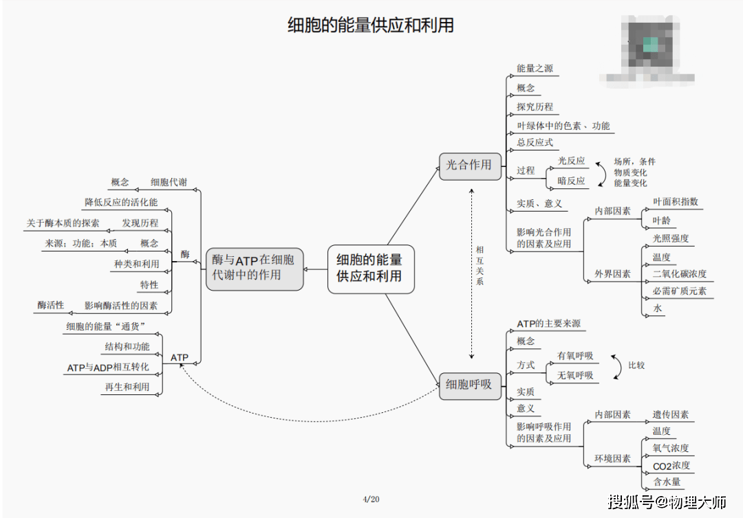 王中王必中三碼一肖，揭秘彩票背后的秘密策略與技巧，揭秘彩票背后的秘密策略與技巧，王中王必中三碼一肖探秘