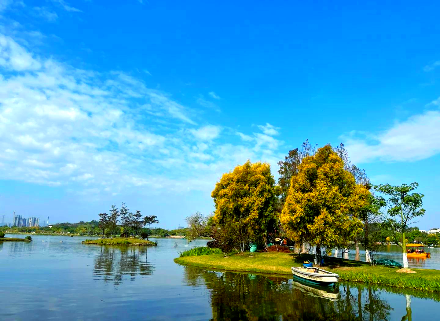 白云湖公園，自然與城市的和諧交融，白云湖公園，自然與城市的完美交融之境