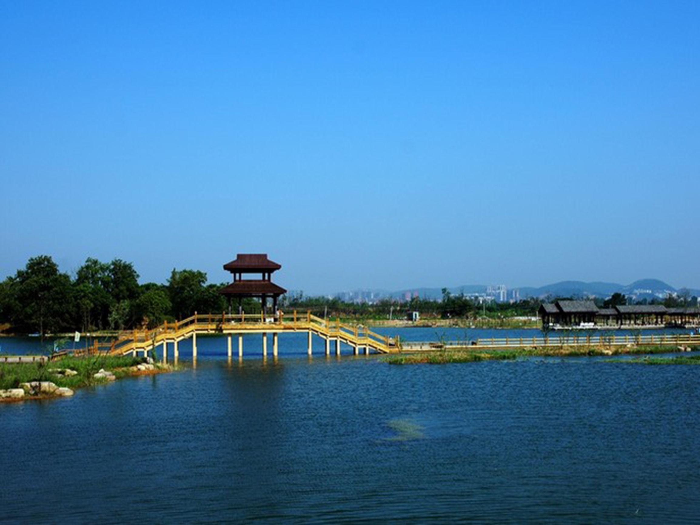 洋湖濕地公園，自然生態(tài)的魅力與體驗，洋湖濕地公園，自然生態(tài)的魅力及獨特體驗
