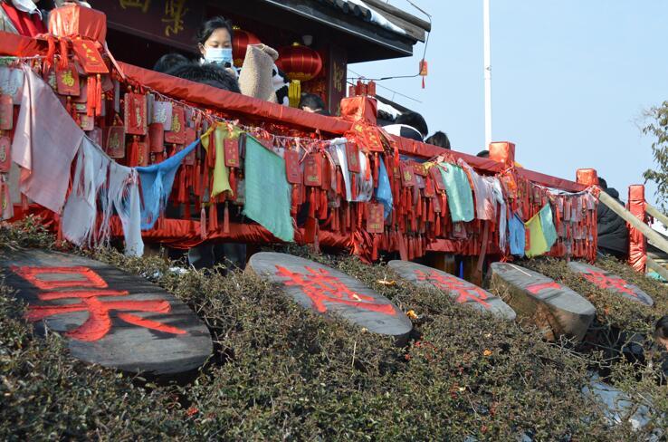 常州南山竹海一日游攻略，探索自然之美，體驗竹海風情，常州南山竹海一日游，自然探索之旅，竹海風情體驗攻略