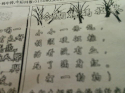 劉伯溫網(wǎng)平特一肖，傳奇人物與現(xiàn)代網(wǎng)絡(luò)熱詞的交融，劉伯溫與現(xiàn)代網(wǎng)絡(luò)熱詞的交融，傳奇人物網(wǎng)平特一肖揭秘