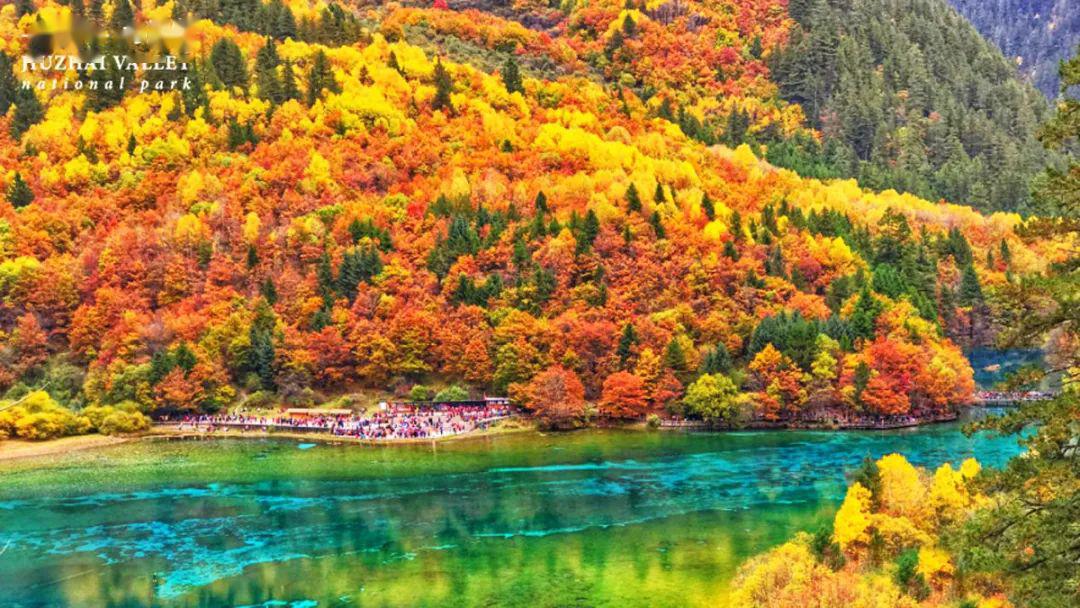 九寨溝四大景點(diǎn)介紹，探尋神秘的自然之美，九寨溝四大景點(diǎn)深度游，探尋自然奧秘與神秘之美