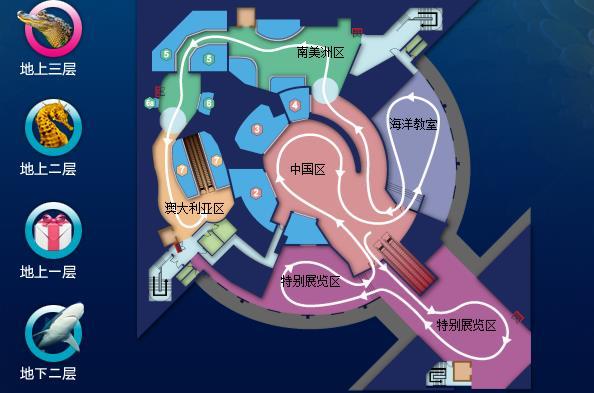 上海海洋館數(shù)量及特色解析，上海海洋館數(shù)量與特色深度解析