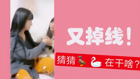 揭秘王中王巜欲錢詩猜一肖的奧秘，揭秘王中王與欲錢詩中的生肖奧秘