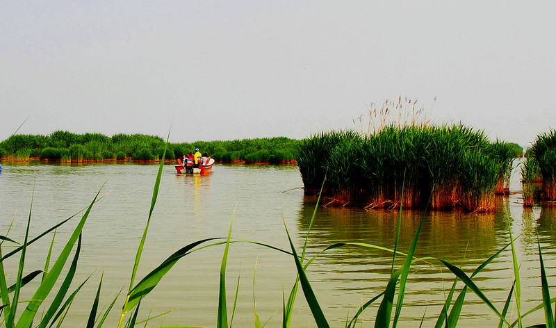 寧夏沙湖旅游攻略，探索沙漠中的綠洲之美，寧夏沙湖旅游攻略，沙漠綠洲探秘之旅