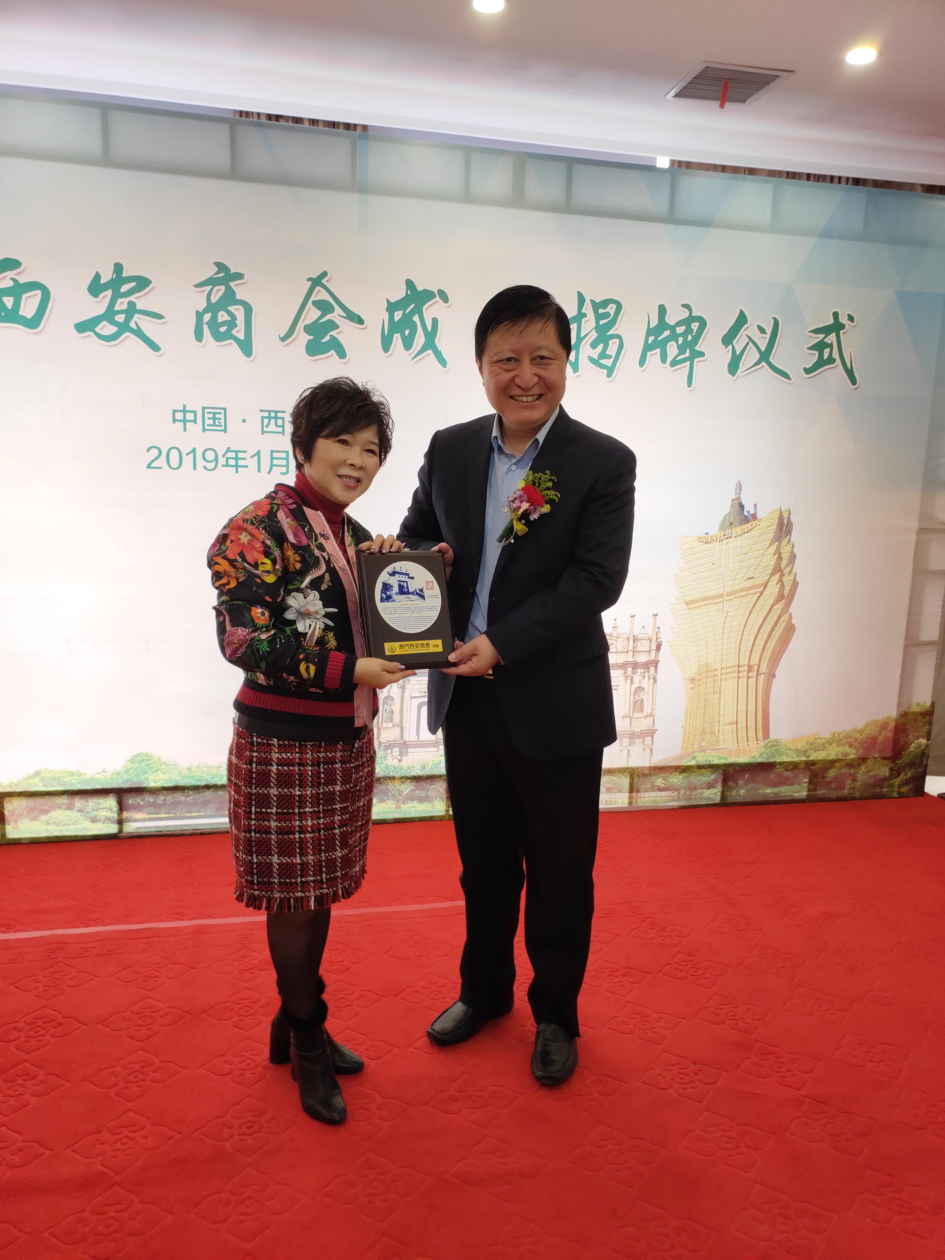 新澳門一肖，探索與解析，新澳門一肖，深入解析與探索