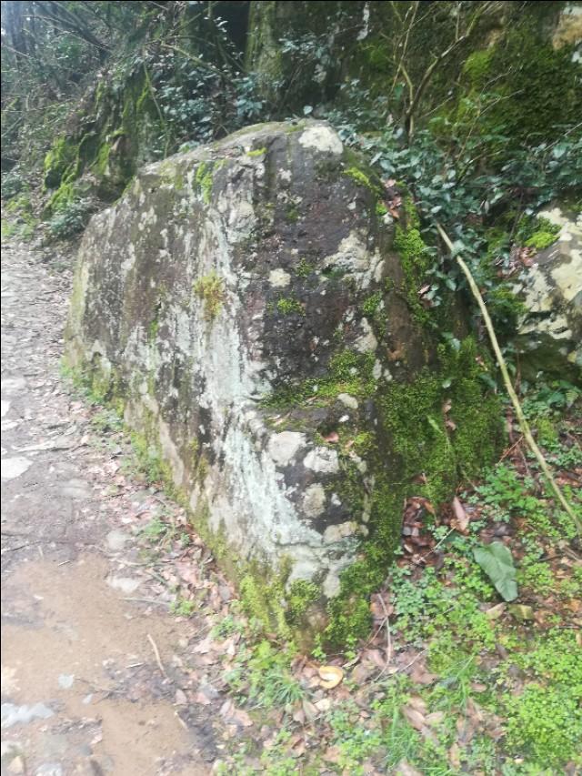 白小姐一肖一碼與劉伯溫四不像，探尋神秘文化符號(hào)背后的故事，探尋白小姐一肖一碼與劉伯溫四不像背后的神秘文化符號(hào)故事
