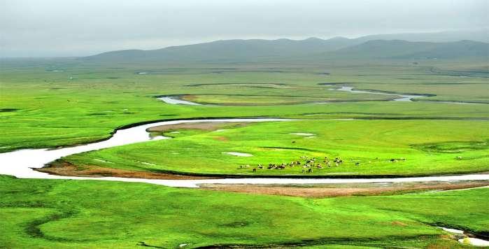 內(nèi)蒙古旅游攻略必玩，探索草原的無限魅力，內(nèi)蒙古草原之旅，深度攻略與必玩景點(diǎn)探索