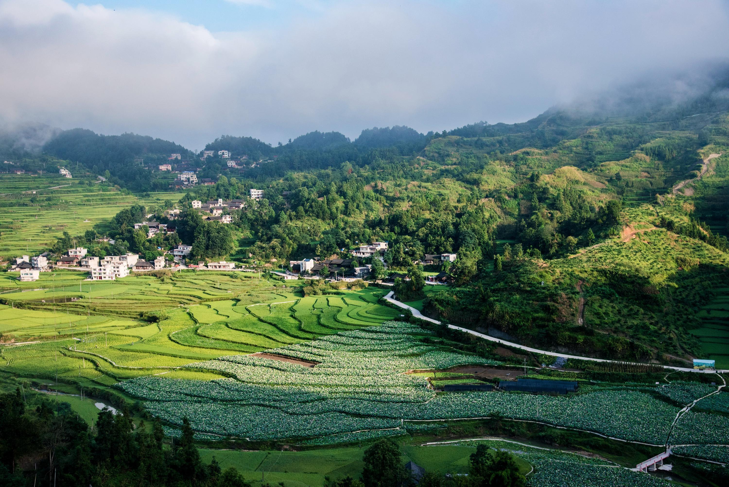 夏季旅游，探索最美的風(fēng)景，盡享夏日的熱情，夏季探索之旅，追尋最美風(fēng)景，盡享夏日熱情