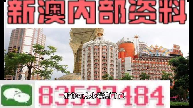 澳門(mén)4949資料免費(fèi)大全——探索澳門(mén)彩票的奧秘，澳門(mén)彩票奧秘揭秘，4949資料免費(fèi)大全探索