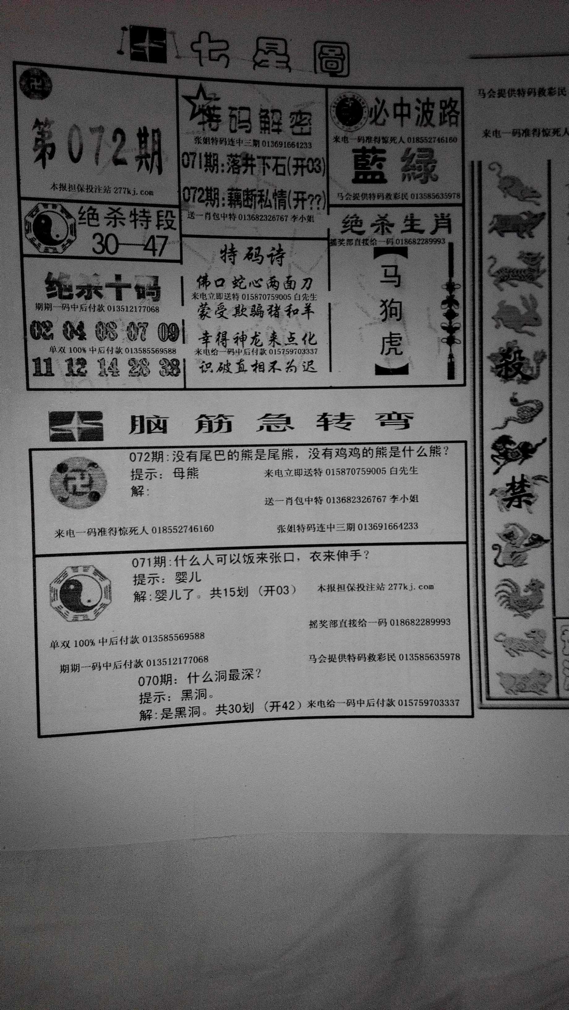 王中王53期期指一生肖，揭秘生肖運(yùn)勢與獨(dú)特魅力，揭秘生肖運(yùn)勢與獨(dú)特魅力，王中王期指生肖解析第53期回顧