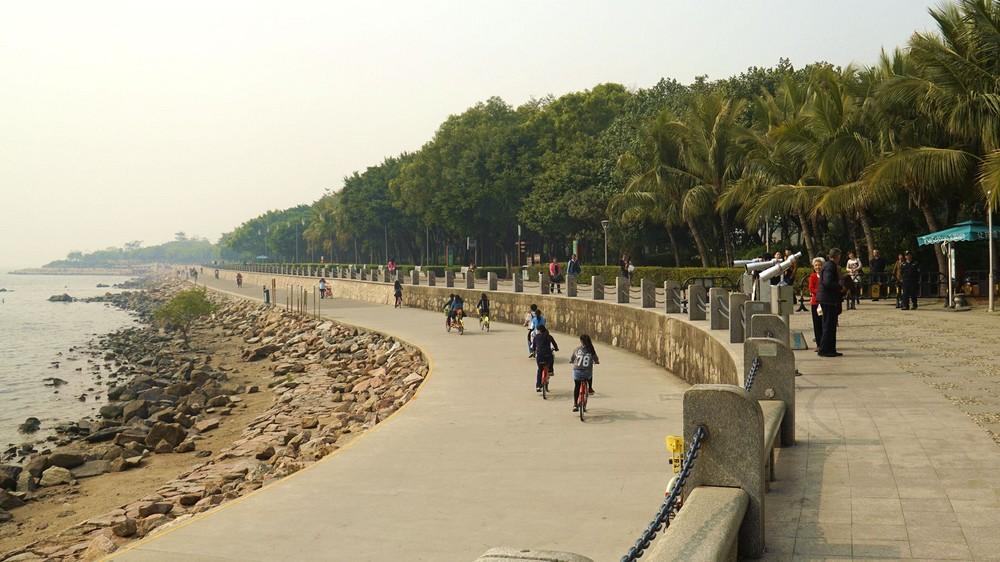 紅樹林海濱生態(tài)公園，自然與城市的和諧共生，紅樹林海濱生態(tài)公園，自然與城市和諧共生的典范