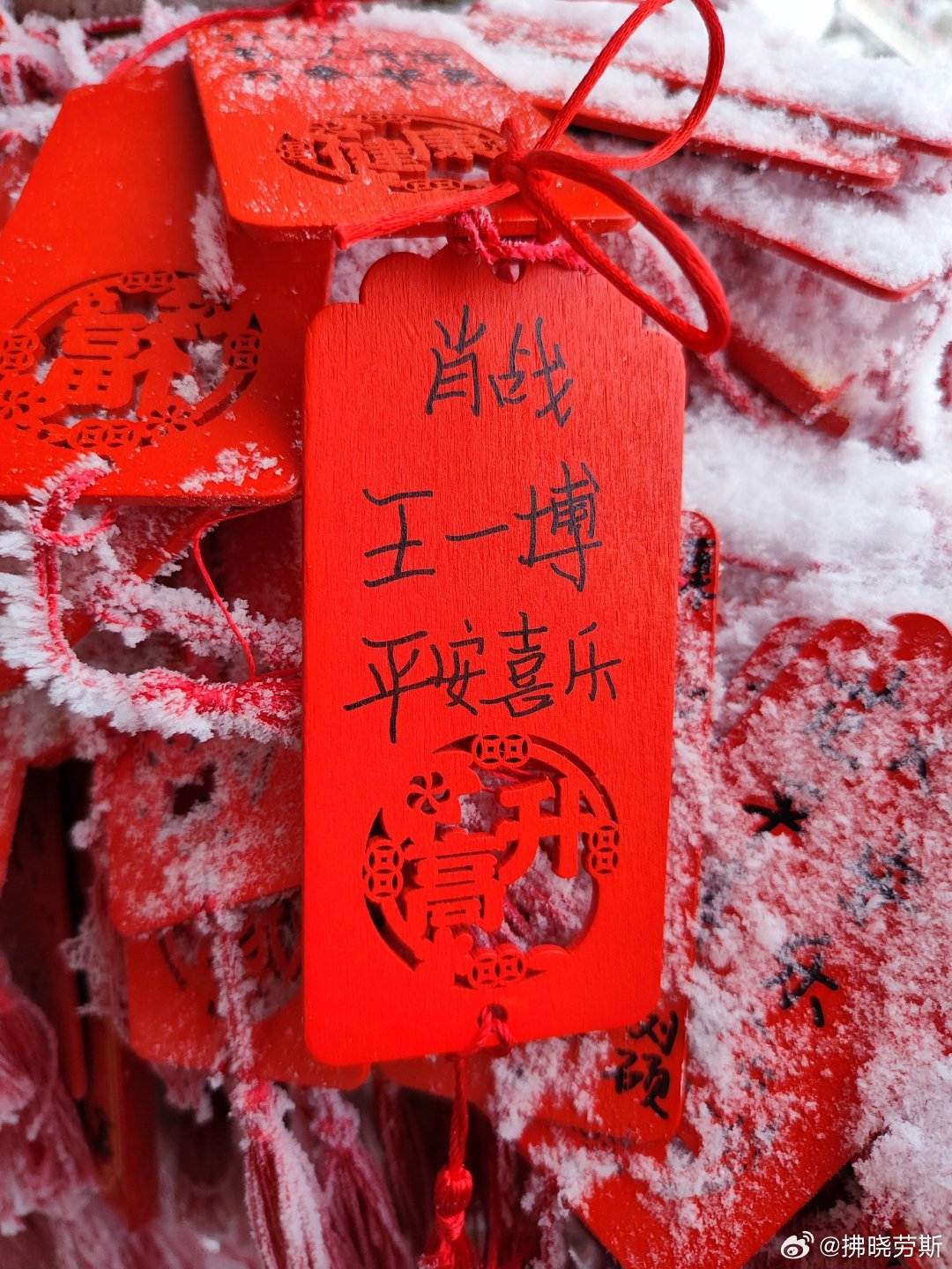 下載王中王平特一肖，全面解析與攻略，王中王平特一肖全面解析與攻略下載
