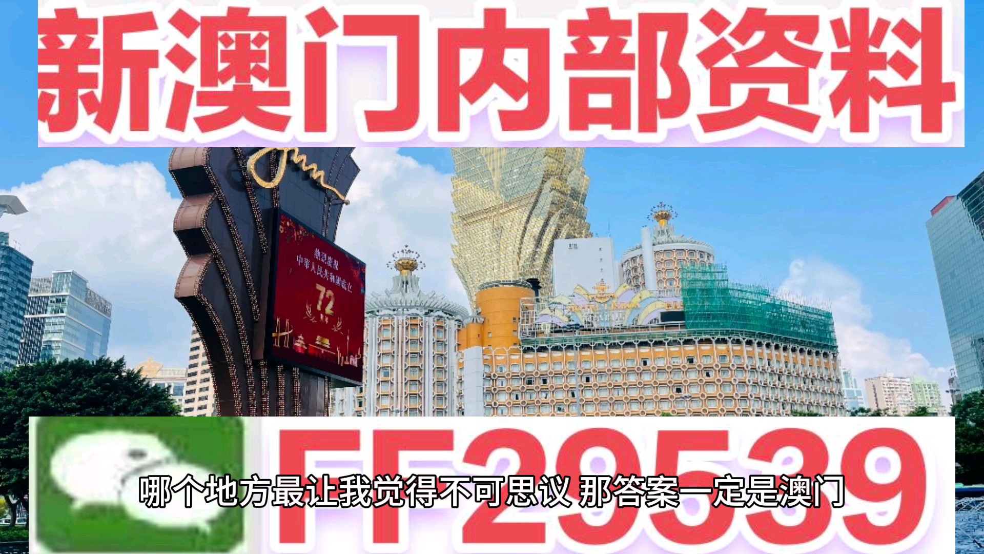 新奧門碼資料，探索與解析，新奧門碼資料解析與探索