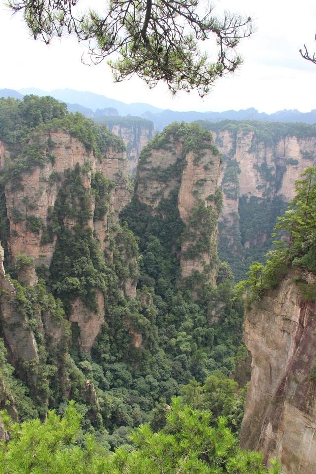 張家界金鞭溪圖片，自然美景的絕佳展示，張家界金鞭溪自然美景圖片展示，絕美風(fēng)光盡收眼底