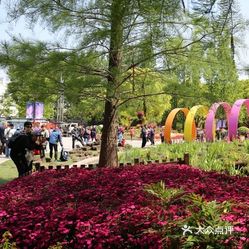 上海植物園地址及其周邊環(huán)境與游覽指南，上海植物園地址、周邊環(huán)境與游覽攻略全解析