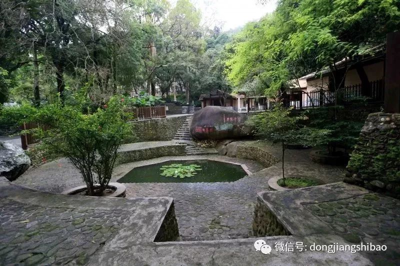 自然之美探索地