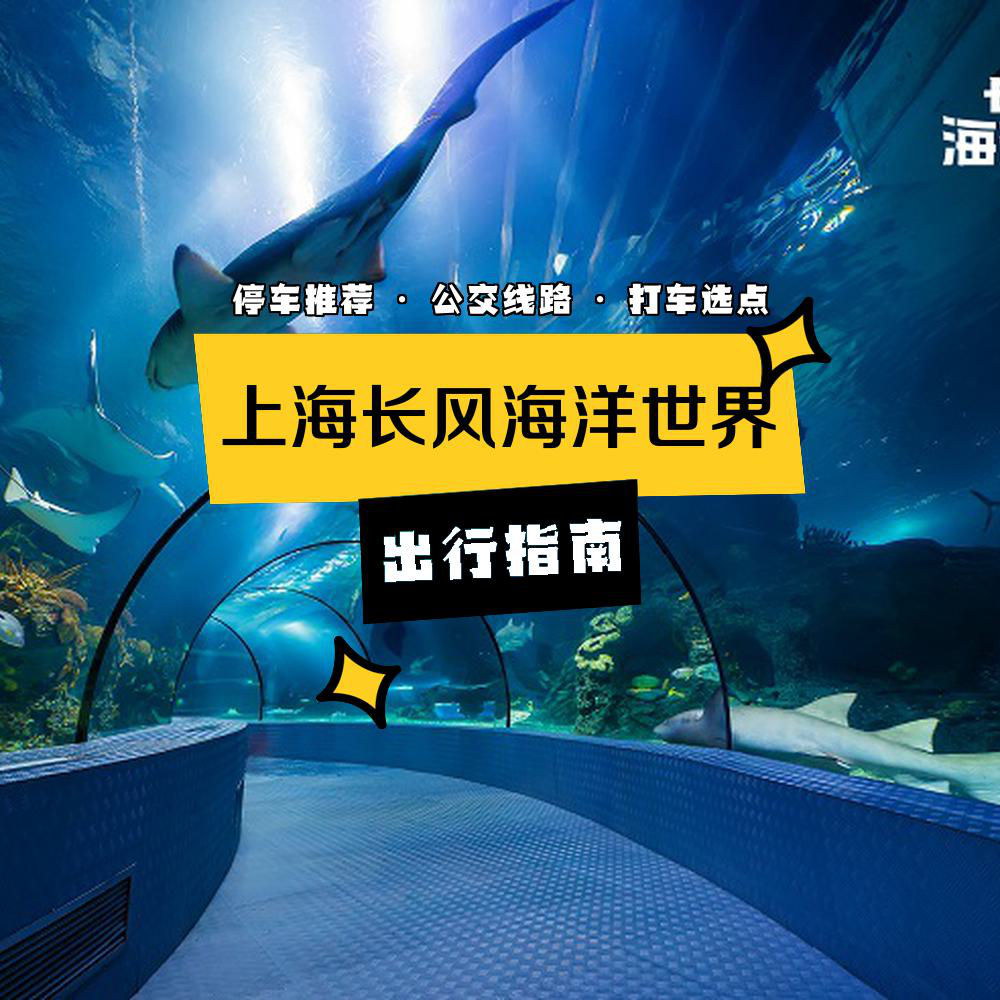 上海長風(fēng)海洋世界公園攻略，探索海洋奇趣之旅，上海長風(fēng)海洋世界公園攻略，探索海洋世界的奇趣之旅