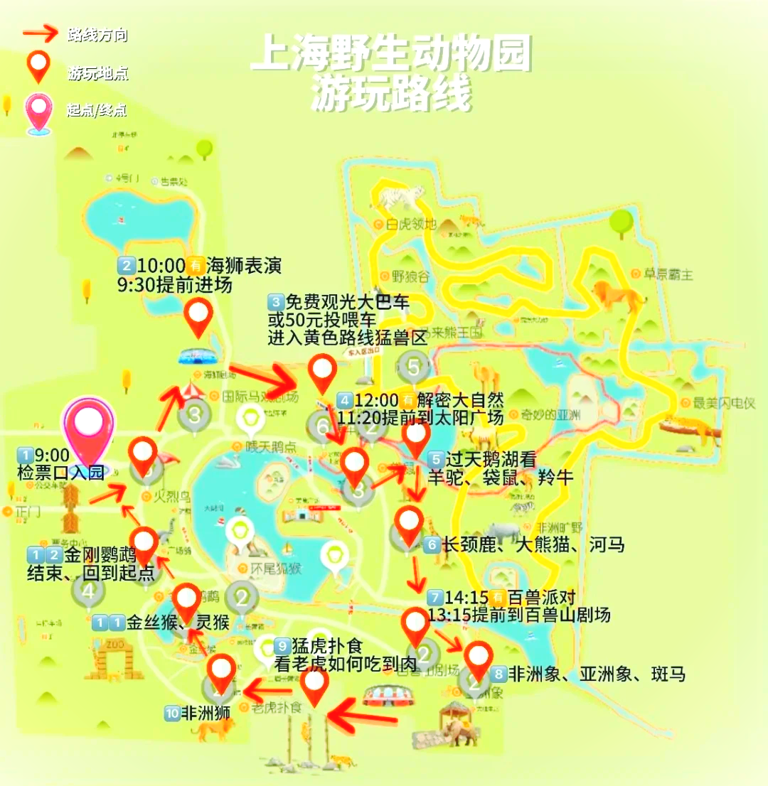 上海野生動物園攻略，探索野生動物的奇妙世界，上海野生動物園攻略，探索野生動物的奇妙之旅