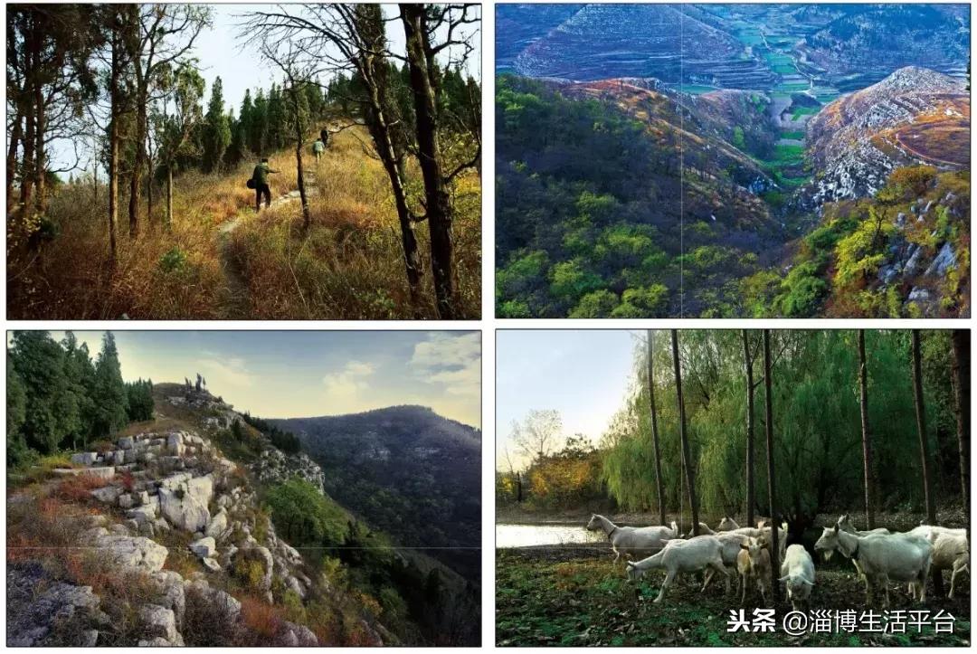 淄博免費(fèi)景點(diǎn)大全一日游，淄博免費(fèi)景點(diǎn)一日游攻略，暢游不停歇