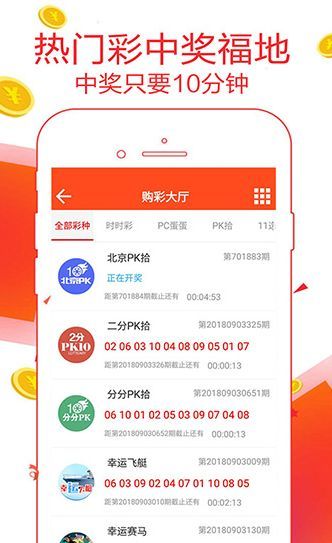 王中王獨一特肖，探尋背后的故事與奧秘，王中王獨一特肖，背后的故事與奧秘探尋