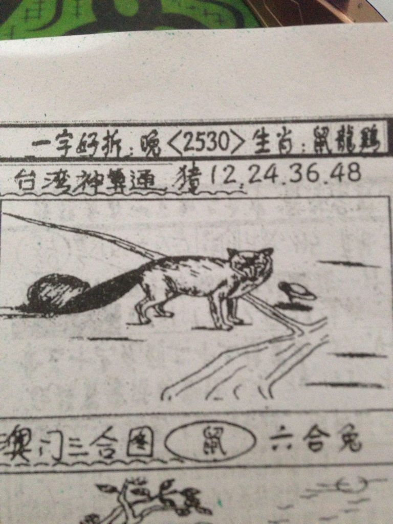 揭秘劉伯溫，看圖找特一肖的傳奇人物，揭秘劉伯溫傳奇，探尋特一肖的神秘之旅