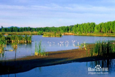 北京順義旅游景點(diǎn)，探索順義之美，北京順義探索之旅，發(fā)現(xiàn)順義之美