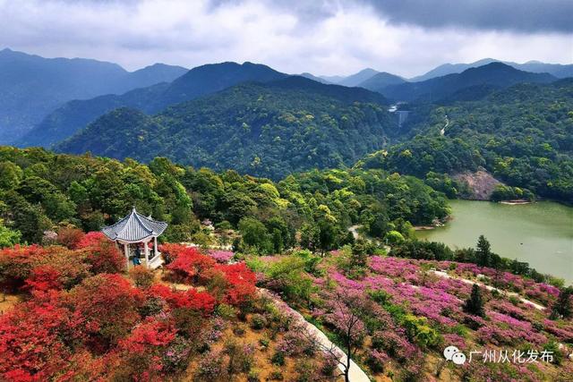 從化旅游景點(diǎn)，探索自然之美的絕佳去處，從化旅游景點(diǎn)，自然之美的絕佳探索地