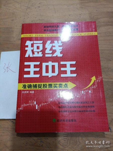 王中王平特一肖中的奧秘，探尋關(guān)鍵詞背后的故事，王中王平特一肖，關(guān)鍵詞背后的奧秘與故事探尋